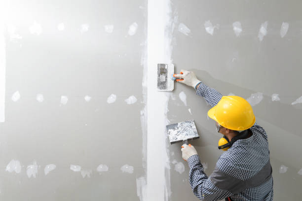 Best Comprehensive Air Testing for Mold Contaminants  in Roland, AR
