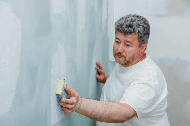 Best Post-Construction Mold Inspection  in Roland, AR